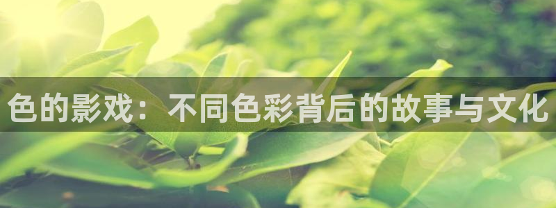 午夜伦理影院在线观看：色的影戏：不同色彩背后的故事与文化