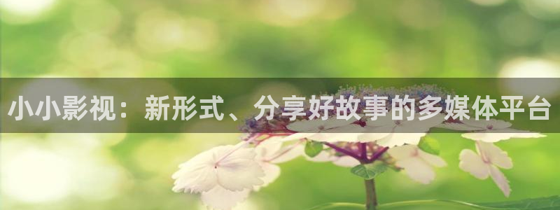搜播伦理影院：小小影视：新形式、分享好故事的多媒体平台
