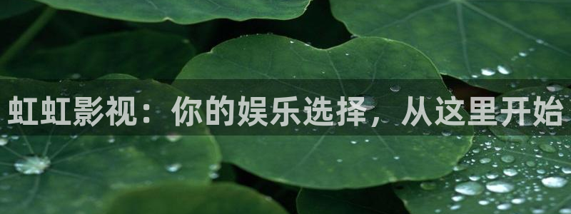 51伦理影院：虹虹影视：你的娱乐选择，从这里开始
