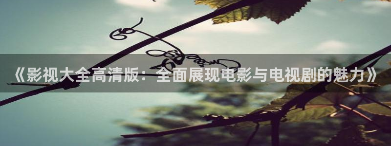 成人伦理影视网：《影视大全高清版：全面展现电影与电视剧的魅力》