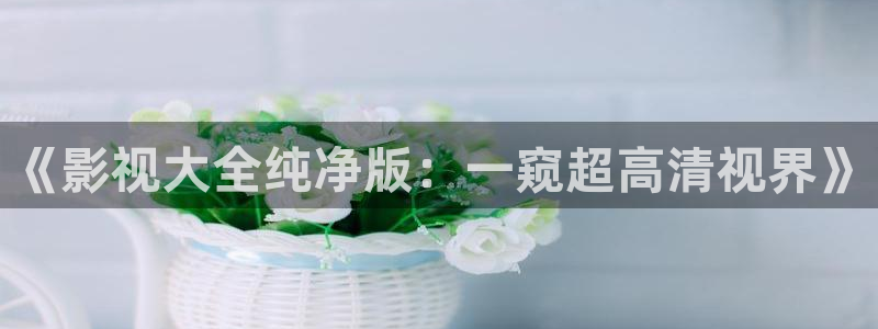 成人私密伦理影院：《影视大全纯净版：一窥超高清视界》