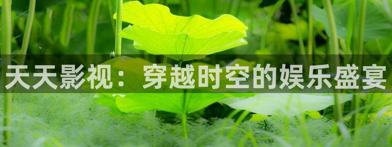悠久伦理影院：天天影视：穿越时空的娱乐盛宴